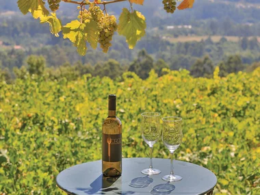 ¡De vinos por la D.O. Rías Baixas! 1 visita a bodega con cata de albariño