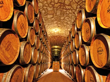 Visita y cata de vinos en bodegas de D.O Ribera del Duero