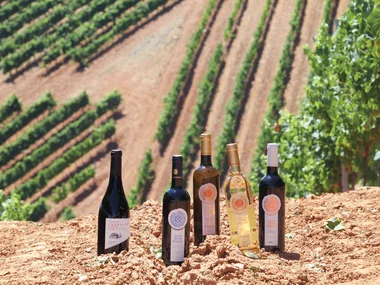 Visita y cata de vinos en bodegas de D.O. Bierzo
