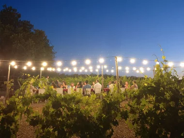 Cena nei vigneti del Chianti con partenza da Siena