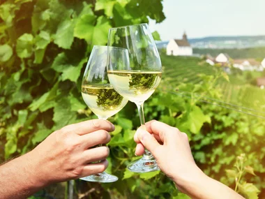 Cumpleaños para apasionados del vino