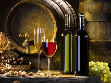 Visita a bodega con cata de vinos y dos botellas de regalo
