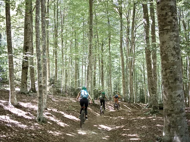 Pedalando sul Monte Amiata: escursione in e-bike per 2 amanti dell’avventura