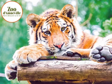 Journée découverte au Parc Zoologique d'Amnéville