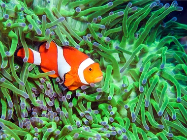 Acquario di Cattolica: 1 ingresso adulto con snack incluso
