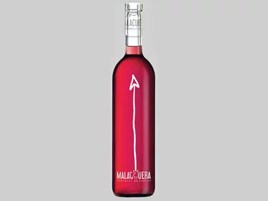 De Valladolid a tu mesa: pack de 6 botellas de vino Malacuera a domicilio