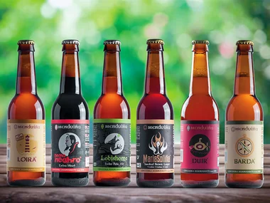 Cervexa Menduiña a domicilio: pack de 6 cervezas artesanas