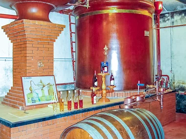 Visite de domaine viticole et de musée avec dégustation et coffret de vins