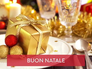 Natale di lusso in Svizzera: 1 notte in hotel 4* e 5* con cena gourmet