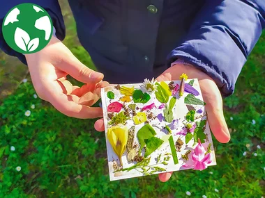 Atelier de fabrication de cosmétiques naturels avec récolte des plantes