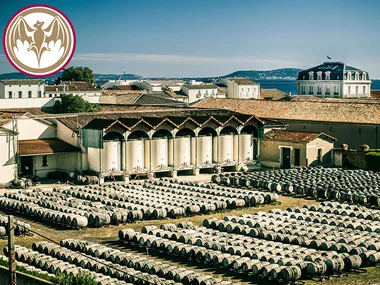 Dégustation de vermouth français à Marseillan