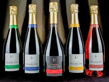 Dégustation de champagne et visite de domaine dans la Marne