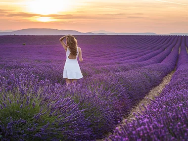 Mille et une nuits en Provence