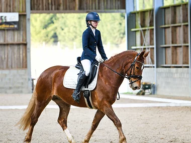 Balade à cheval dans les Ardennes