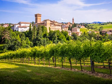 Degustazione di vino in Emilia Romagna con visita alle cantine