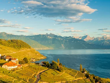 Verkostung von Weinen und lokalen Produkten mit Geschenk in Mont-sur-Rolle