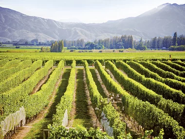 Enoturismo para 2: descubre una bodega de España con una visita guiada