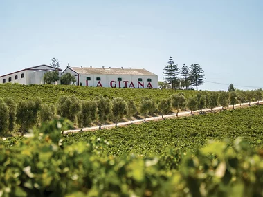 La Alcoba del Agua hotel boutique: 1 noche con visita a bodega y cata
