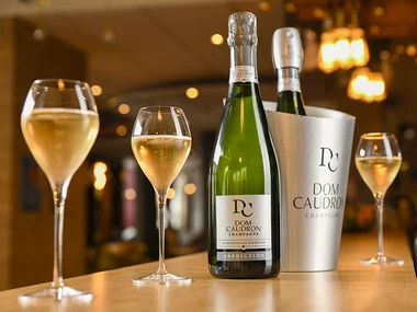 Dégustation de champagnes et visite en famille près de Reims