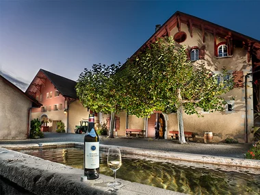 Degustazione di vini e visita della cantina per 2