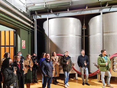 Visita con cata de vinos en Palacio de Villachica