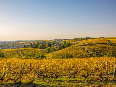 Soggiorno relax con Spa sulle colline fiorentine