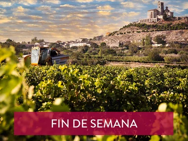 Entre viñas y copas: 1 visita a Bodegas Ruberte con cata de vino y aperitivo
