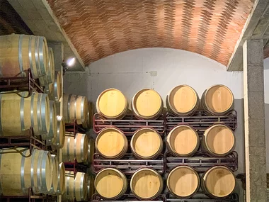 Visita con cata de vinos en Bodegas Durón