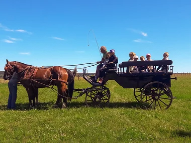 1h de balade en calèche à 2 avec planche apéritive et boisson dans la province de Luxembourg