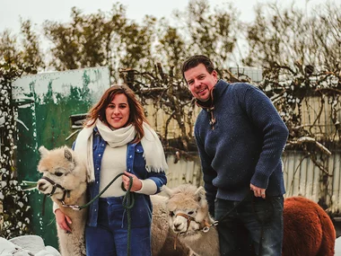 Fotosessie tussen de Alpaca's