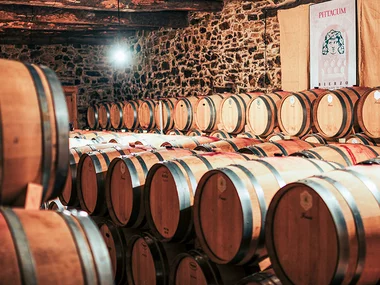 1 visita con degustación para 2 personas en las famosas Bodegas Pittacum