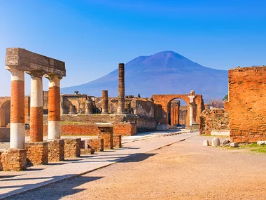 Tour giornaliero del Vesuvio ed Ercolano con biglietti salta fila