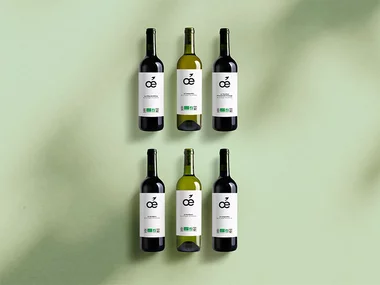 Livraison à domicile de vins bio avec Oé