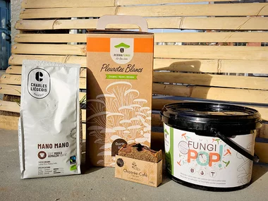Kit de culture de champignons livré à domicile