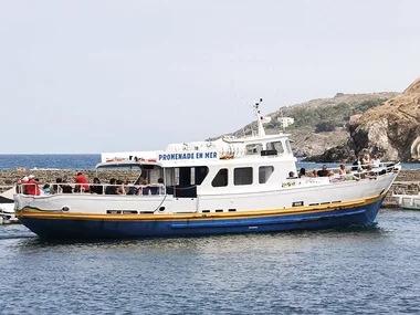 Journée de croisière pour 2 près de Lorient à la découverte des dauphins et oiseaux marins