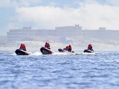 Zeehonden spotten op de Westerschelde voor 3 personen