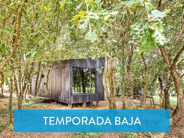 Escapada a Galicia en A Leira 116