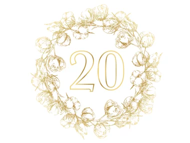 ¡Feliz 20º aniversario de boda!