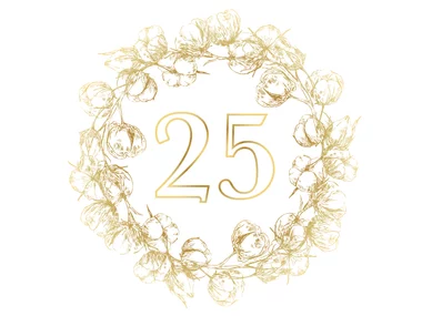 ¡Feliz 25º aniversario de boda!
