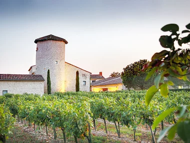 Séjour de 2 jours en suite dans un château 4* avec dîner et dégustation de vins près de Gaillac