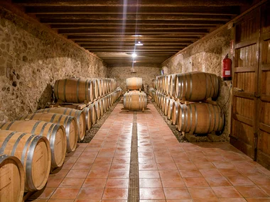 De bodegas en Tarragona: visita guiada y cata de vinos