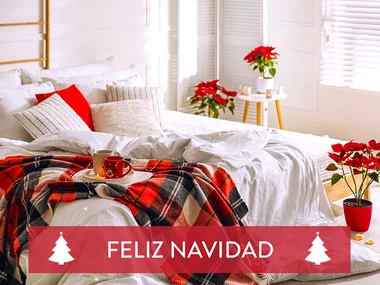 Una Navidad rural: 1 noche con desayuno para 2 personas