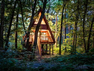 Séjour en cabane dans les arbres
