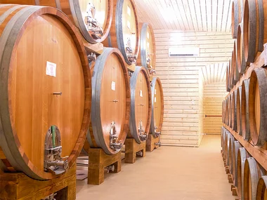 Degustazione di vini con visita in cantina tra i vigneti di Asti
