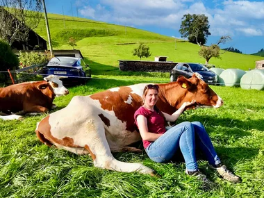 Câlinage de vaches pour 4 personnes dans une ferme près de Lucerne