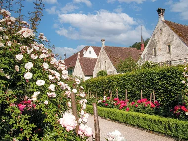 Exquisites Dinner mit Wein für 2 Personen in Ittingen