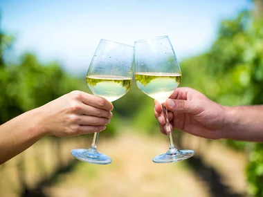 Vinsmagning med rundvisning på Skærsøgaard Vin for 2