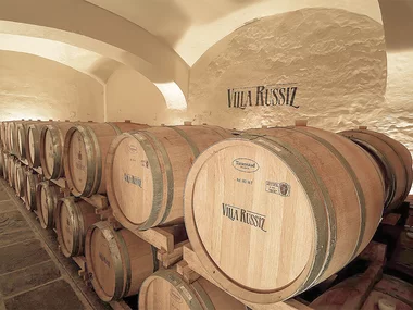 Vigneti d’eccellenza in Friuli: visita alla cantina con degustazione vini