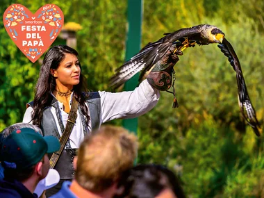 1 visita alla Falconeria Locarno per 2 con Prosecco e foto con un gufo