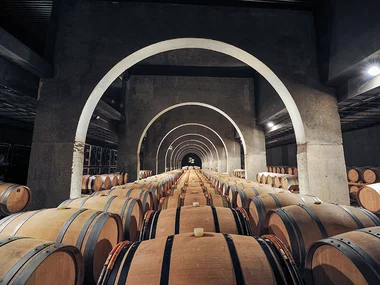 Pago de los Capellanes: visita a la bodega y cata de 3 vinos